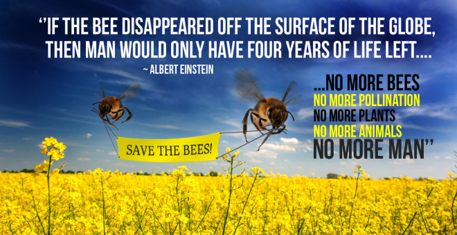 SavetheBees_graphic